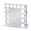 Emily Vanity Mirror with 14 Dimmable LED Bulbs alternate view