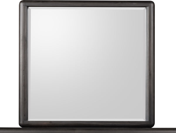 Wexford Beveled Glass Wall or Dresser Mirror in Jaguar alternate view