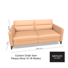 Fascino Leather Sofa Bed By Natuzzi