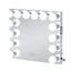 Emily Vanity Mirror with 14 Dimmable LED Bulbs