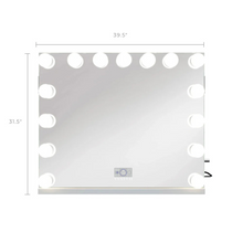 Emily Vanity Mirror with 15 Dimmable LED Bulbs