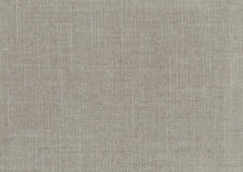 Earth Beige