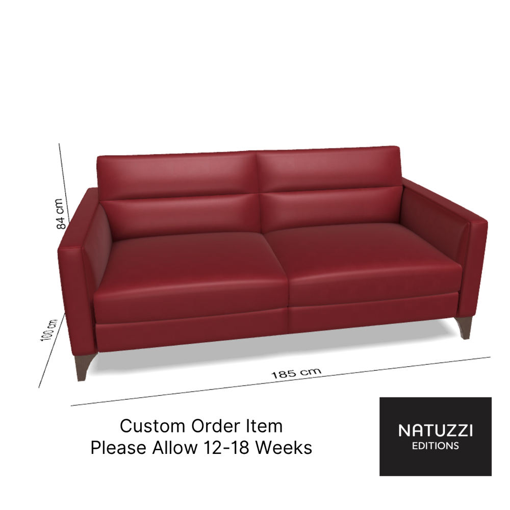 Fascino Leather Sofa Bed By Natuzzi
