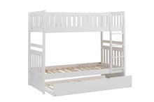 Galen (4) Twin/Twin Bunk Bed with Twin Trundle