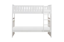 Galen (3) Twin/Twin Bunk Bed