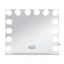 Emily Vanity Mirror with 14 Dimmable LED Bulbs